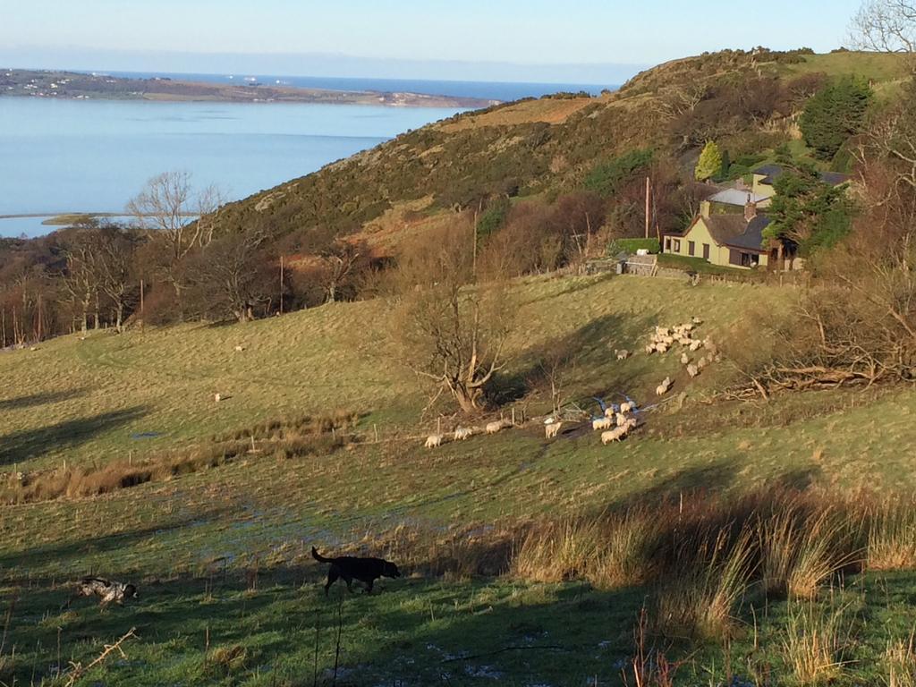 Rhiwiau Guesthouse Llanfairfechan Dış mekan fotoğraf